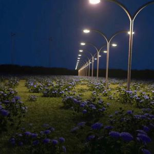 《对魔忍》动漫全集在线观看
